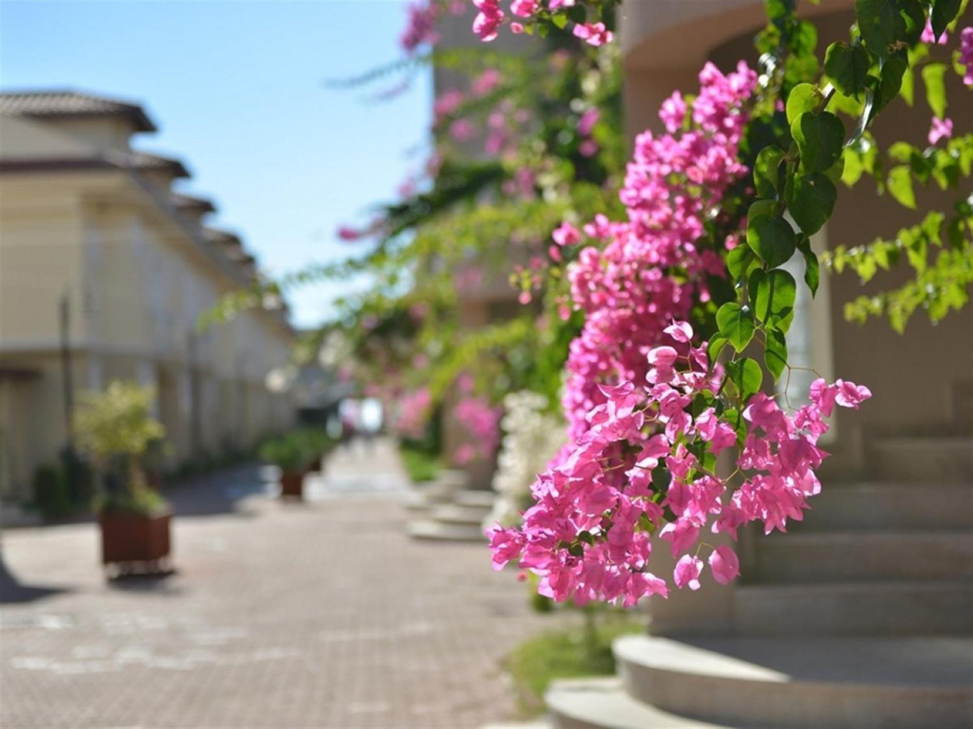Sunset Beach Club Lebrentals Fethiye Exterior photo